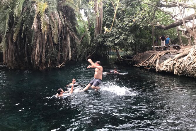 DayTour to Materuni Waterfalls with Coffee & Hotsprings Excursion - The day’s timing, walking pace, and group size