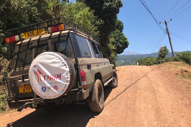 DayTour to Materuni Waterfalls with Coffee & Hotsprings Excursion - Price and value: what $150 buys you in one day