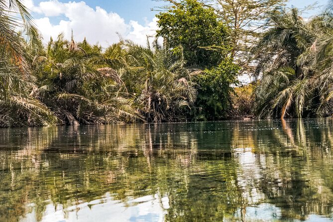 DayTour to Materuni Waterfalls with Coffee & Hotsprings Excursion - Head to Materuni Waterfalls, where the trail starts in the village