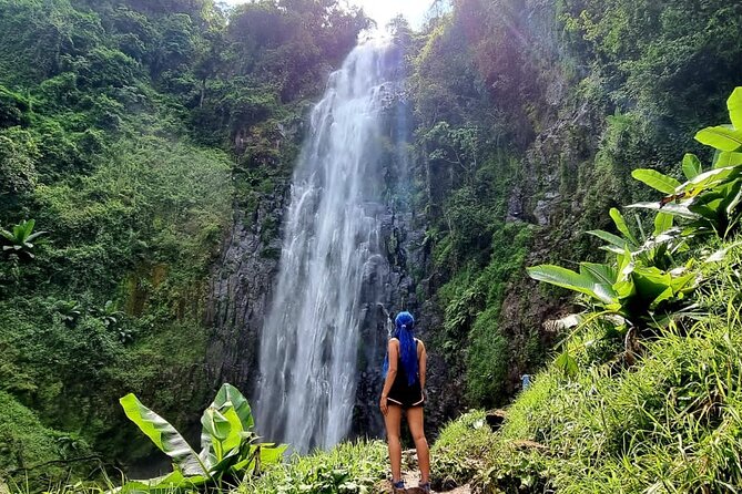Discover Nature and Culture of Materuni Waterfall & Coffee Tour - Key Highlights You’ll Care About Most