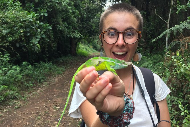 Discover Nature and Culture of Materuni Waterfall & Coffee Tour - Price and What You Actually Get For $50 In Moshi