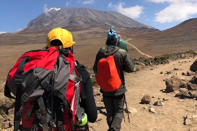Discover Our Latest 6 Days Climbing Kilimanjaro - Marangu Route - Day 4 toward Kibo Hut: saddle country and summit prep