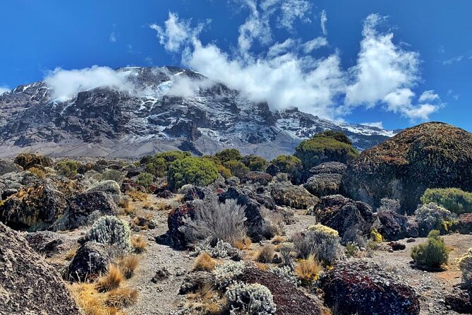 Discover Our Latest 6 Days Climbing Kilimanjaro - Marangu Route - Day 5 Uhuru Peak summit: midnight start, frozen scree, and dawn timing