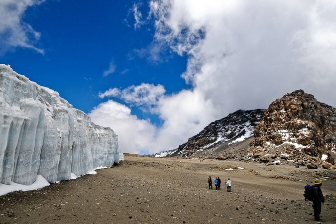 Discover Our Latest 6 Days Climbing Kilimanjaro - Marangu Route - Day 6 down to Moshi: the pace picks up, but don’t rush