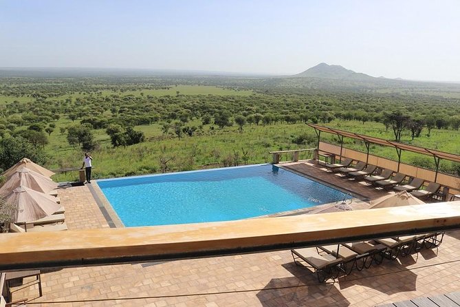 Discover Tanzania through the 3 wild classics - Tarangire Game Drive Days: Getting Your Safari Legs