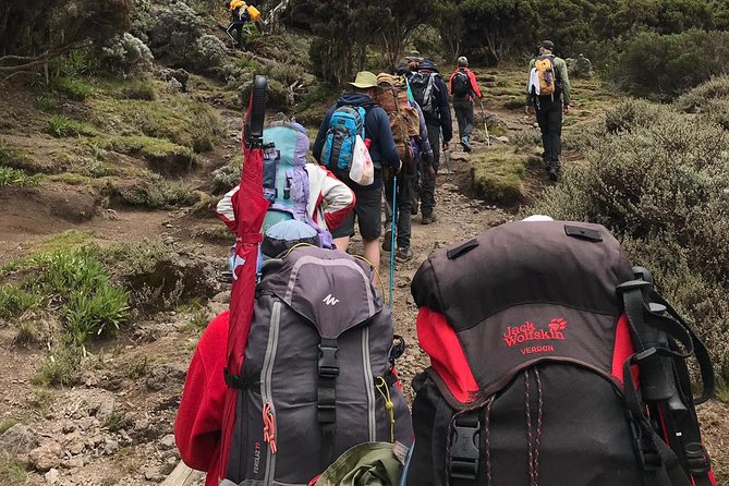 Discover The Best 7-day Kilimanjaro climbing via Machame route - Day 5: Karanga to Barafu Camp, the South Circuit build-up