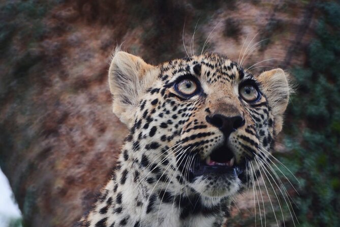 Discover the group joining for 5-day Tanzania safari in 2025 - Guides and service: why this tour gets praised