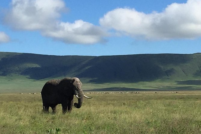 Discover The World's Top Best 4-day Tanzania Group Camping safari - A pop-up roof safari built for big goals, not planning