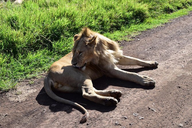 Discover The World's Top Best 4-day Tanzania Group Camping safari - Day 2: Full day Central Serengeti drives for Big Five chances