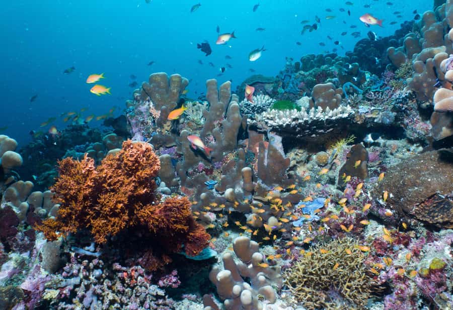 Discover Tumbatu Island: Private Snorkeling Adventure - Guides and Customer Care: The Part That People Remember
