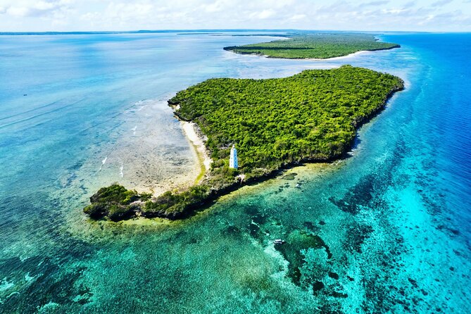 Dolphin and Tumbatu Island Snorkeling Tour with Pickup - Key highlights you’ll care about