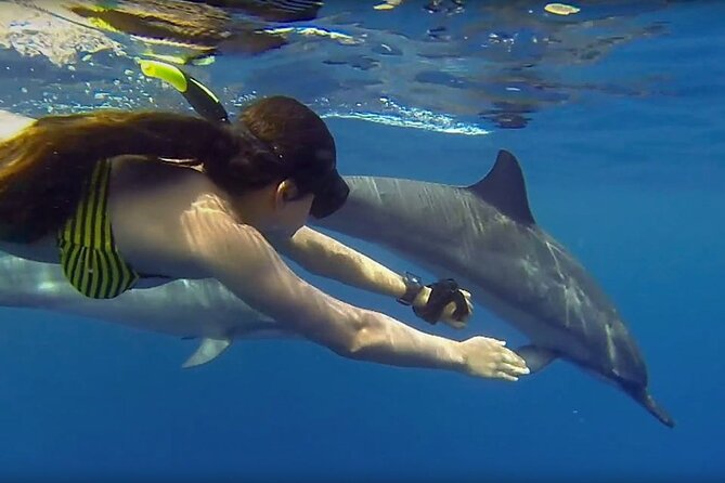 Dolphin and Tumbatu Island Snorkeling Tour with Pickup - The crew: Ali and Raheem make a difference