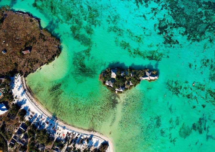 Dolphin Tour, Jozani Forest, Prison Island, Island Pongwe - Price and logistics: does $150 per person make sense?
