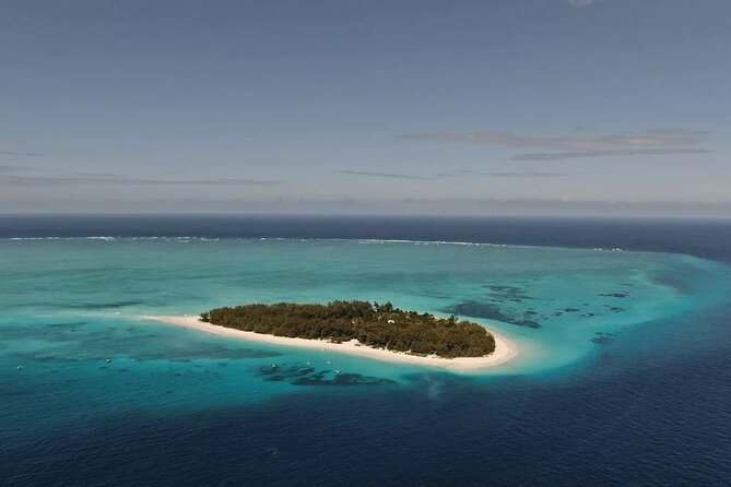 Dolphin Tour, Jozani Forest Tour, Kuza Cave Tour, Paje Beach,The Rock Restaurant - A 10-hour Zanzibar hits-the-highlights plan