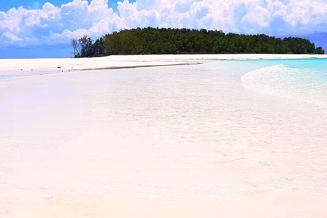 Dolphin Tour, Jozani Forest Tour, Kuza Cave Tour, Paje Beach,The Rock Restaurant - Price and value: what $128 gets you on a private day