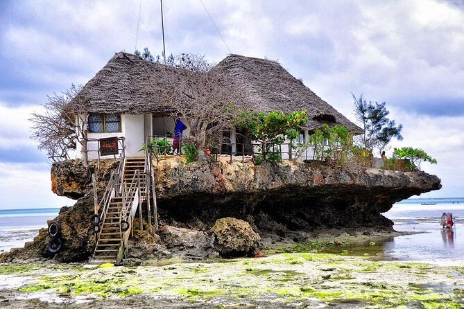 Dolphin Tour; Kuza Cave Tour; Paje Beach; The Rock Restaurant; Jozani Forest - Kuza Cave: mineral pool views plus monkeys and Swahili culture