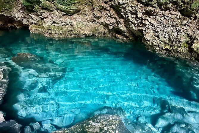 Dolphin Tour; Kuza Cave Tour; Paje Beach; The Rock Restaurant; Jozani Forest - Paje Beach calm-water time and the sunset finish