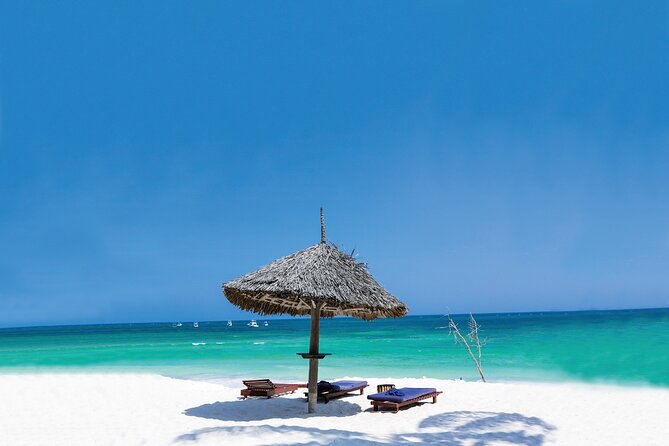 Dolphin Tour; Kuza Cave Tour; Paje Beach; The Rock Restaurant; Jozani Forest - Lunch at The Rock Restaurant Zanzibar: budget ahead for seafood