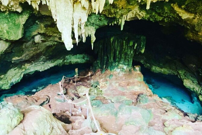 Dolphin Tour; Kuza Cave Tour; Paje Beach; The Rock Restaurant; Jozani Forest - Price and logistics: is $128 a good deal for this many stops?