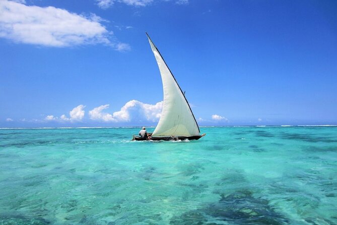 Dolphin Tour & Snorkeling at Mnemba Island - About that lunch with a view