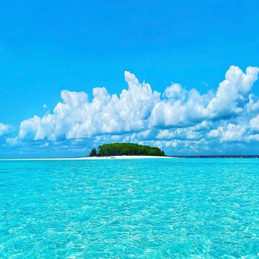 Dolphins & Snorkeling Zanzibar: Mnemba Island Tour - Dolphin watching near Mnemba: how to get the best shot