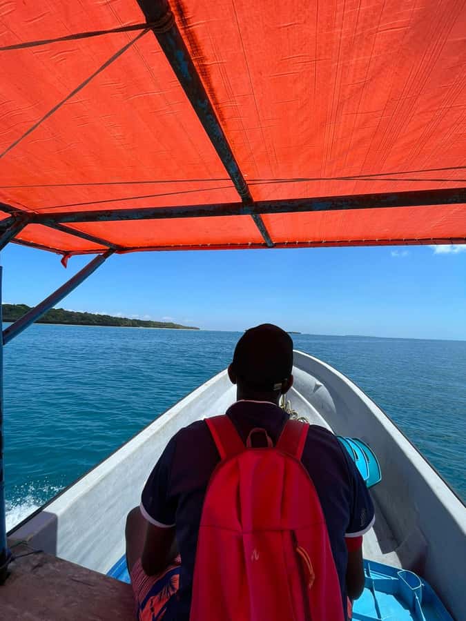 Dolphins tour and turtles swimming in kizimkazi - Speedboat rides: why the ride is part of the experience