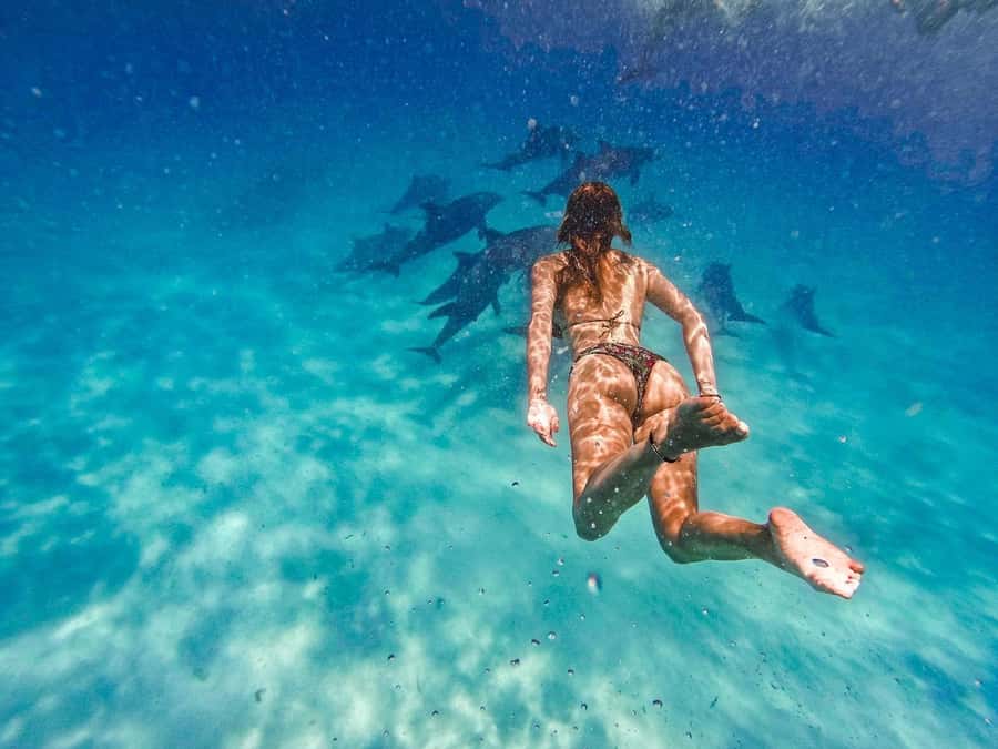 Dolphins tour and turtles swimming in kizimkazi - Snorkeling gear and what you can control