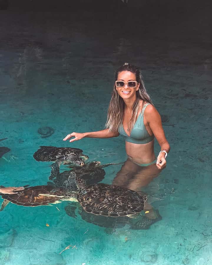 Dolphins tour + mnemba island snorkeling + salaam turles - Mnemba Island and the Marine Park: what your time looks like