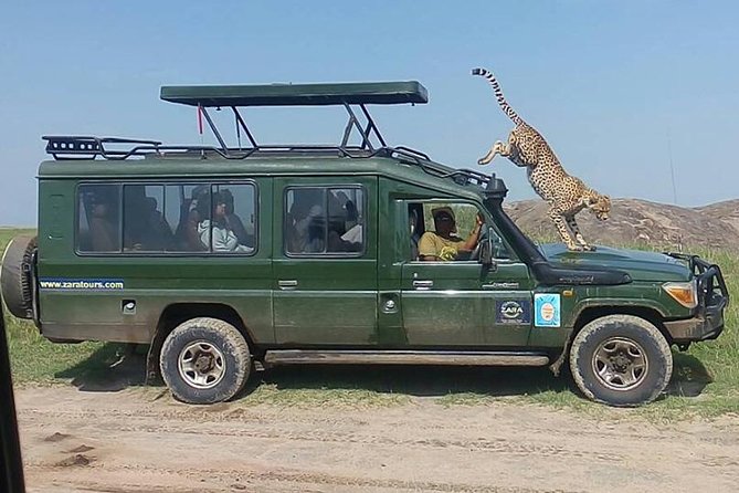 Elephant Special Serengeti & Ngorongoro Crater 5 Days / 4 Nights - Day 3 in the Serengeti: one full day of game viewing with a picnic lunch