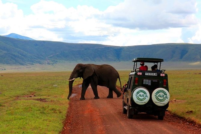 Elephant Special Serengeti & Ngorongoro Crater 5 Days / 4 Nights - Day 4 at Ngorongoro Crater: the Big Five moment, plus flamingos