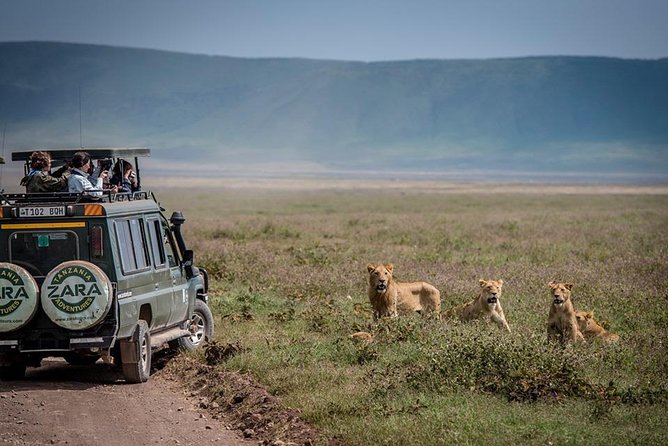 Elephant Special Serengeti & Ngorongoro Crater 5 Days / 4 Nights - Day 1 in Tarangire National Park: dry-season water magic and elephants