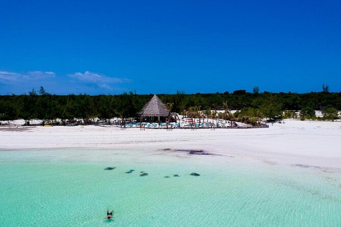 Exclusive Full-Day Zanzibar Adventure: Jozani Forest, Hidden Gems - Price and Value Check for a 9-Hour Private Tour