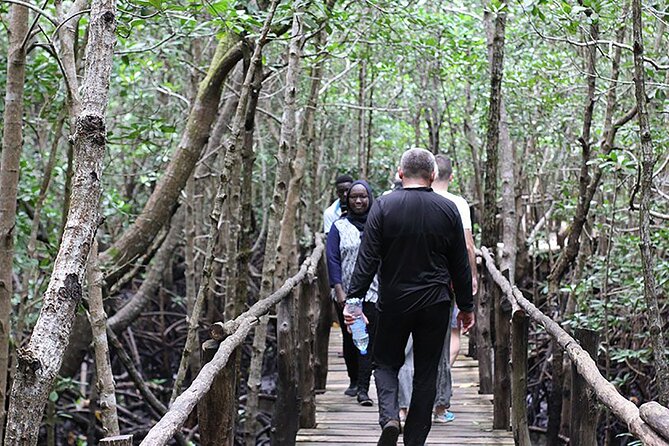 Exclusive Full-Day Zanzibar Adventure: Jozani Forest, Hidden Gems - Who This Tour Fits Best in Zanzibar