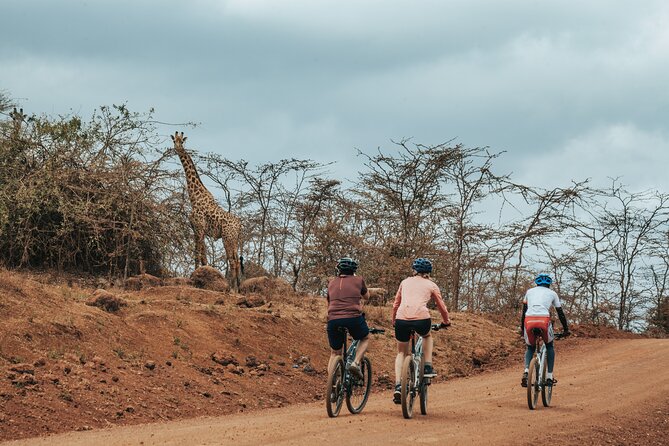 Explore the 360° of Kilimanjaro - A Full 360° Circle: What You Ride Around at Kilimanjaro’s Base