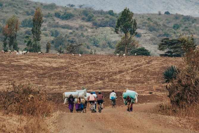 Explore the 360° of Kilimanjaro - Enduimet Wildlife Management Area to Simba Farm Views