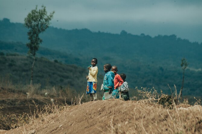 Explore the 360° of Kilimanjaro - Toward Rongai: Nalemoru Village, Foothill Towns, and Snowcap Cottages