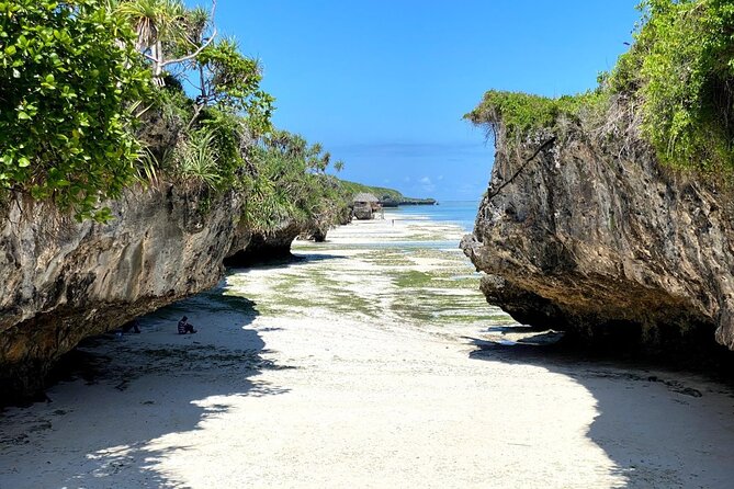Explore Zanzibar's 6 Quintessential Southeastern Charm Full day - Kizimkazi Dimbani: turtles plus the feeling of a natural water cave