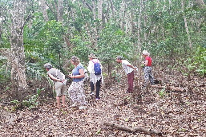 Exploring the Hidden Gems of Zanzibar - Jozani Chwaka Bay National Park: Spot the Red Colobus First