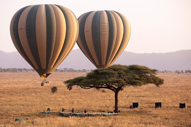 Extraordinary Hot air Bolloon ride in Serengeti | BURIGI CHATO SAFARIS CO L.T.D - Key Points You Should Know Before You Go