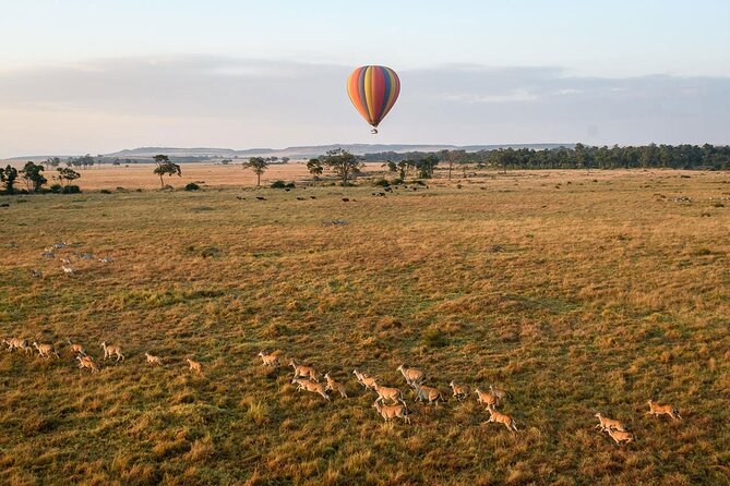 Extraordinary Hot air Bolloon ride in Serengeti | BURIGI CHATO SAFARIS CO L.T.D - Timing and Weather: The Real Rule Is the Sky