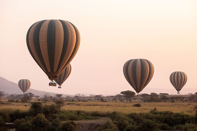 Extraordinary Hot air Bolloon ride in Serengeti | BURIGI CHATO SAFARIS CO L.T.D - Price and Value: What $710 Really Buys You