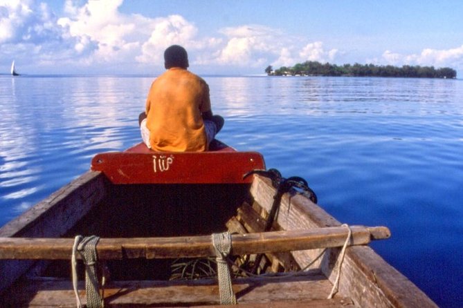 Ferry Tickets to Zanzibar with Transfers. - Choosing the Right Departure Time (and Why It Changes Everything)