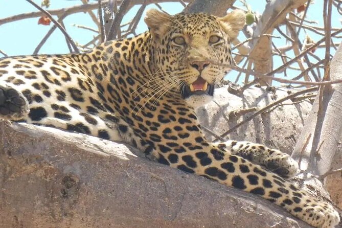 Flight Package Zanzibar to Nyerere National Park (Selous GR) 3 Days 2 Nights - Zanzibar to Selous: what this package does differently