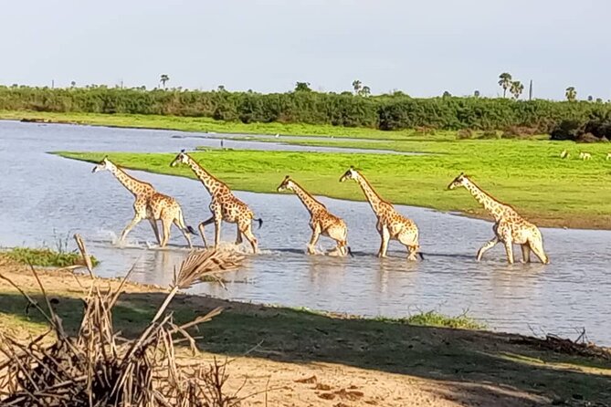 Flight Package Zanzibar to Nyerere National Park (Selous GR) 3 Days 2 Nights - Day 3: Maasai culture for 2 to 3 hours, then fly back around 4 pm