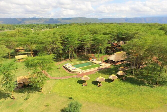 From Arusha: 11 days The Classics Northern Tanzania safari - Where your safari starts: Arusha, then straight into game-viewing rhythm