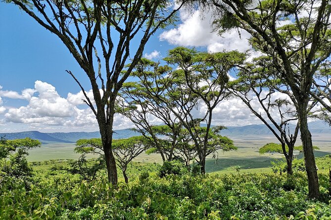 From Arusha: 11 days The Classics Northern Tanzania safari - Ngorongoro Crater full day: one big preserved volcanic bowl