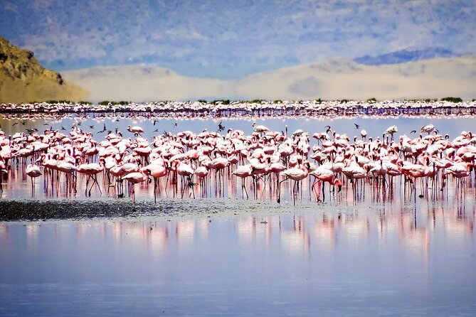 From Arusha : 11 days The Complete Africa Safari North Tour - Lake Manyara and Tarangire: finishing with variety, not fatigue