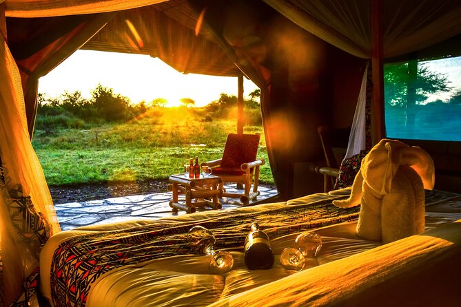 From Arusha : 3 Days Private Safari Tarangire N.P and Serengeti - Staying right next to the parks: sleep rhythm you’ll actually feel
