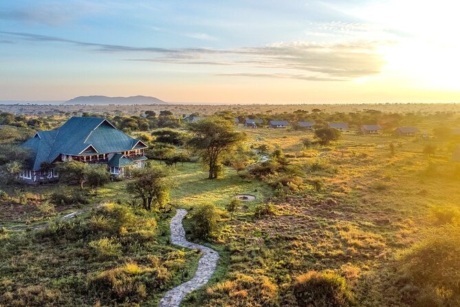 From Arusha : 3 Days Private Safari Tarangire N.P and Serengeti - Timing and what your morning will feel like