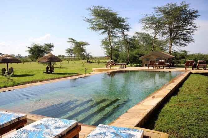 From Arusha: 5 Days Classic Safari Cats, Calves & Crater - Why Cats, Calves, and Crater Is a Smarter Serengeti Plan